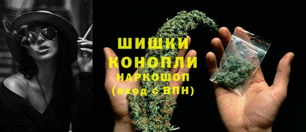 spice Инсар