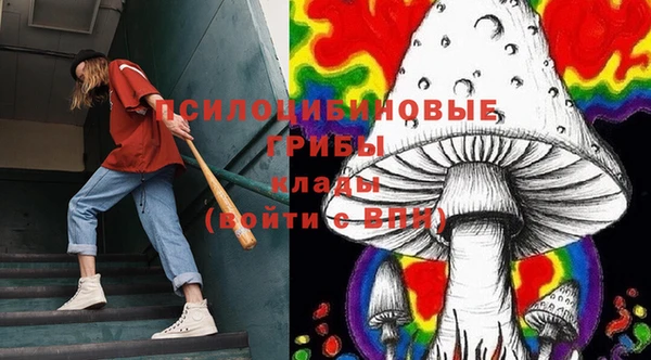мяу мяу кристалл Иннополис