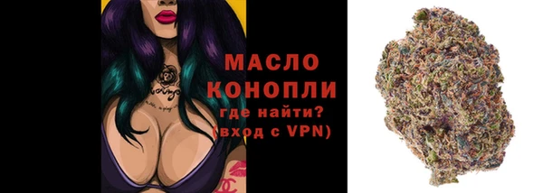 spice Инсар