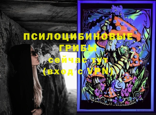 эйфоретик Инта