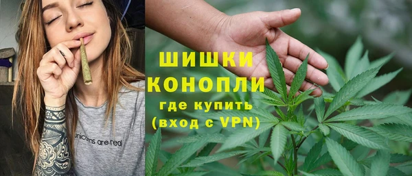 spice Инсар