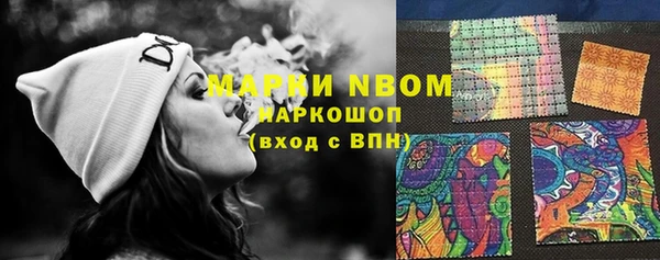 эйфоретик Инта