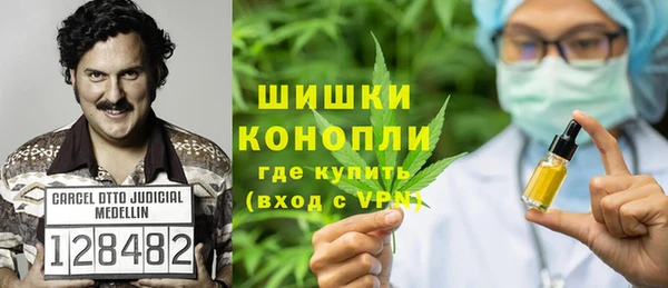 spice Инсар